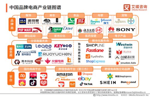 2023年中國品牌電商服務(wù)商行業(yè)研究報告 信息技術(shù)咨詢服務(wù)