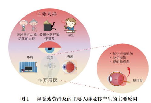 類胡蘿卜素類原料在緩解視覺疲勞保健食品中的應(yīng)用研究進展——基于北京聯(lián)合大學(xué)閆文杰教授團隊的研究